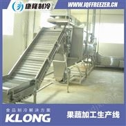 水果蔬菜加工設(shè)備 果蔬干加工生產(chǎn)線