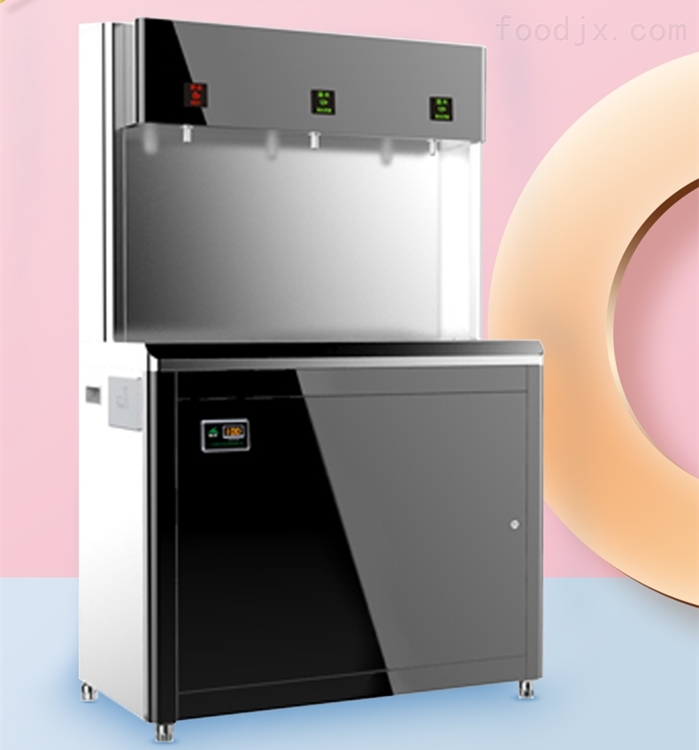 碧丽中小学直饮水开水机