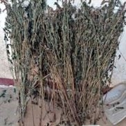 四川用戶反饋好用切藥機(jī) 中藥材切段機(jī) 博朗機(jī)械高速切藥材機(jī) 切片機(jī)