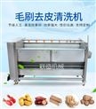 毛輥去皮，去泥清洗機(jī)