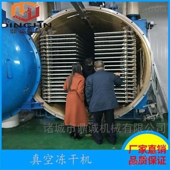 草莓低溫凍干機 草莓真空冷凍干燥機