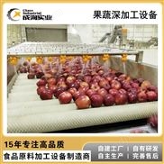 304不銹鋼蘋(píng)果原漿深加工生產(chǎn)線