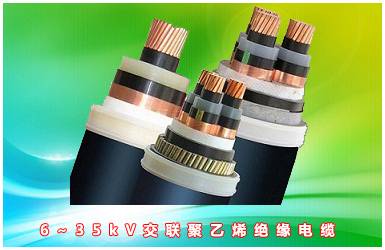 守护万家灯火Ta们用专业与温情点亮申城｜春节我在岗